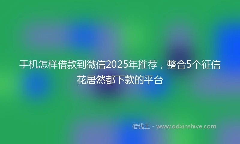 手机怎样借款到微信2025年推荐，整合5个征信花居然都下款的平台