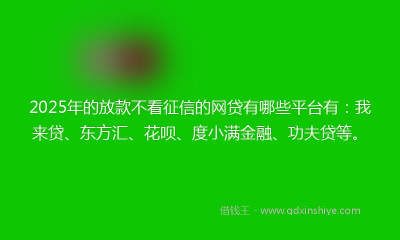 2025年的放款不看征信的网贷有哪些平台有：我来贷、东方汇、花呗、度小满金融、功夫贷等。