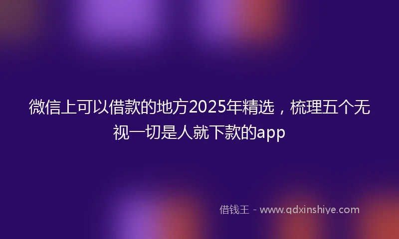 微信上可以借款的地方2025年精选，梳理五个无视一切是人就下款的app