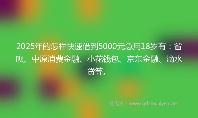 2025年的怎样快速借到5000元急用18岁有：省呗、中原消费金融、小花钱包、京东金融、滴水贷等。