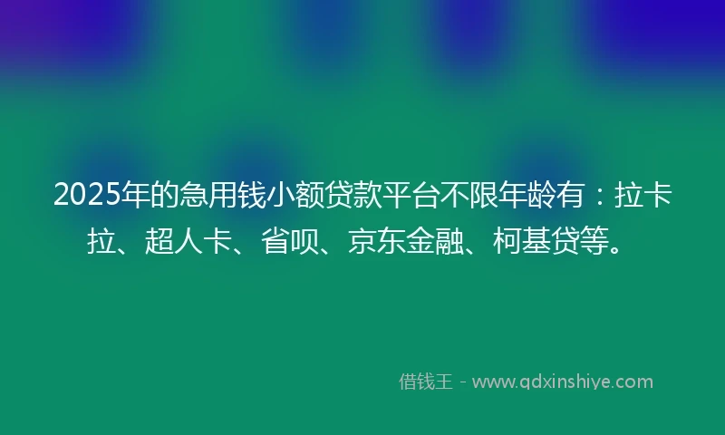 2025年的急用钱小额贷款平台不限年龄有：拉卡拉、超人卡、省呗、京东金融、柯基贷等。
