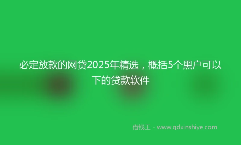 必定放款的网贷2025年精选，概括5个黑户可以下的贷款软件
