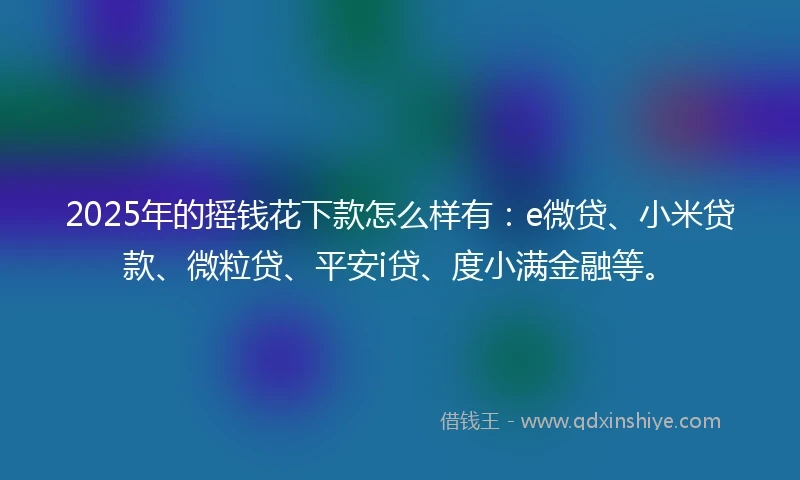2025年的摇钱花下款怎么样有：e微贷、小米贷款、微粒贷、平安i贷、度小满金融等。
