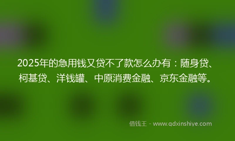 2025年的急用钱又贷不了款怎么办有：随身贷、柯基贷、洋钱罐、中原消费金融、京东金融等。