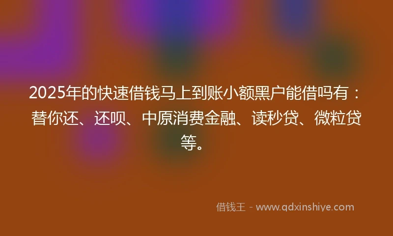 2025年的快速借钱马上到账小额黑户能借吗有：替你还、还呗、中原消费金融、读秒贷、微粒贷等。