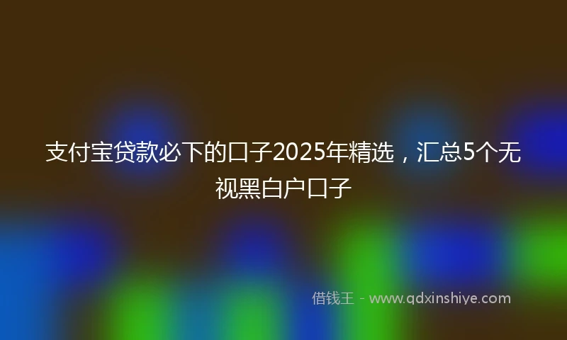 支付宝贷款必下的口子2025年精选，汇总5个无视黑白户口子