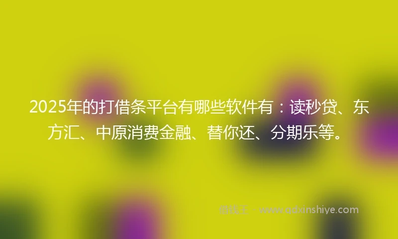2025年的打借条平台有哪些软件有：读秒贷、东方汇、中原消费金融、替你还、分期乐等。