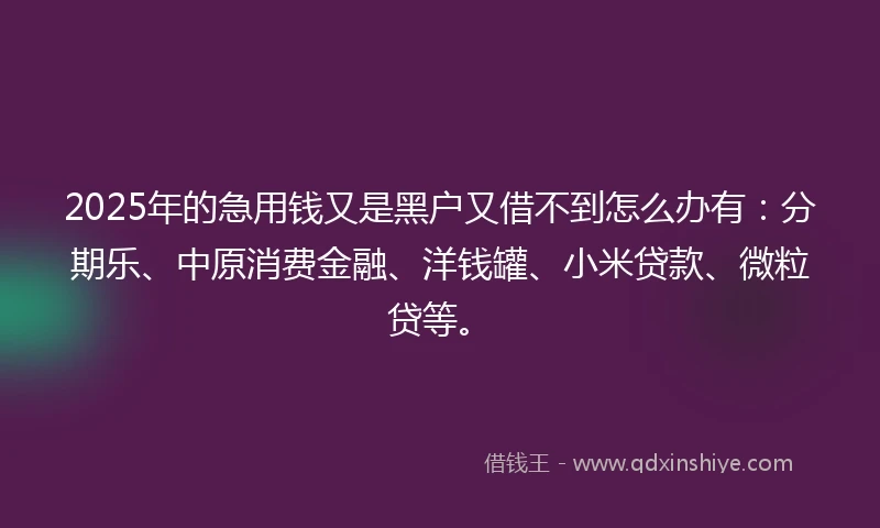 2025年的急用钱又是黑户又借不到怎么办有：分期乐、中原消费金融、洋钱罐、小米贷款、微粒贷等。