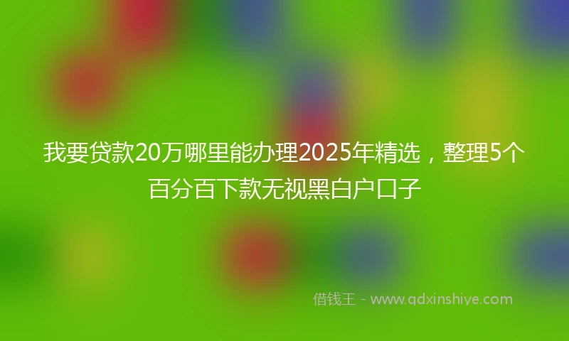 我要贷款20万哪里能办理2025年精选，整理5个百分百下款无视黑白户口子