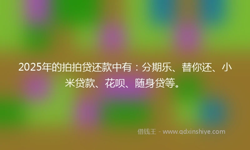 2025年的拍拍贷还款中有：分期乐、替你还、小米贷款、花呗、随身贷等。