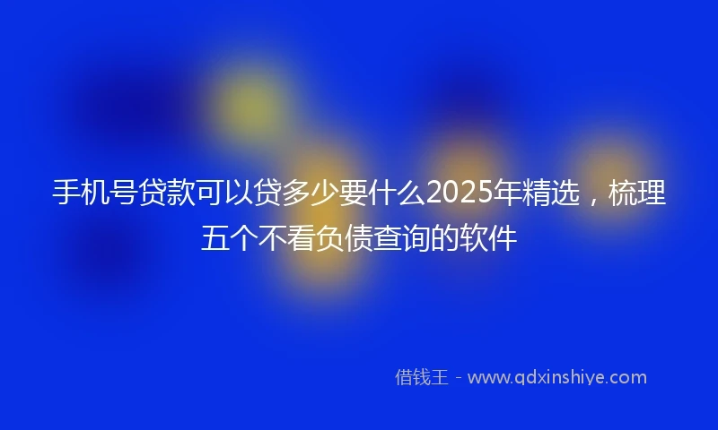 手机号贷款可以贷多少要什么2025年精选，梳理五个不看负债查询的软件