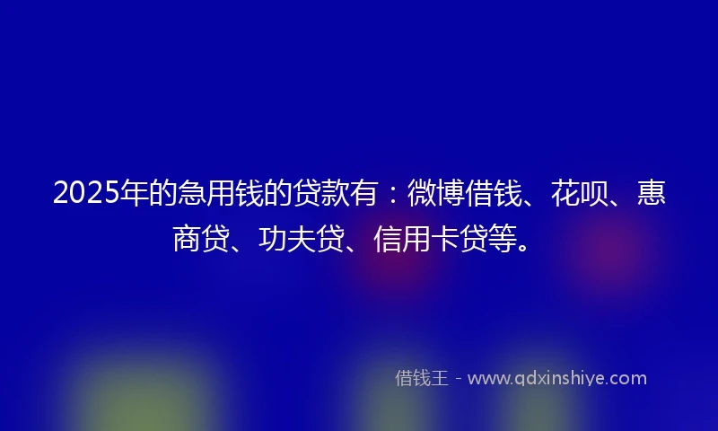 2025年的急用钱的贷款有：微博借钱、花呗、惠商贷、功夫贷、信用卡贷等。