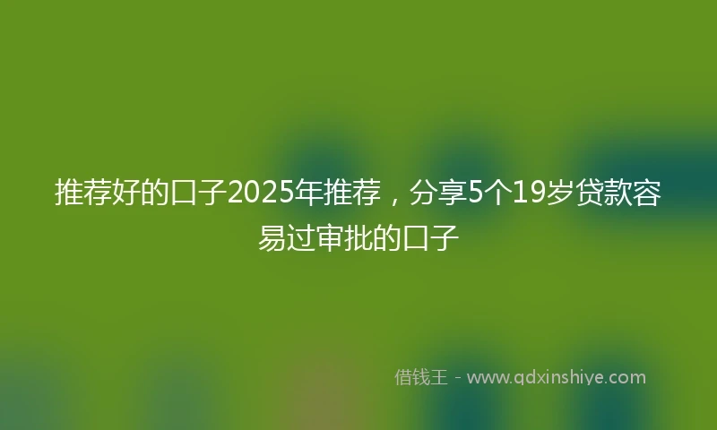 推荐好的口子2025年推荐，分享5个19岁贷款容易过审批的口子
