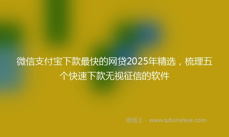 微信支付宝下款最快的网贷2025年精选,梳理五个快速下款无视征信的软件