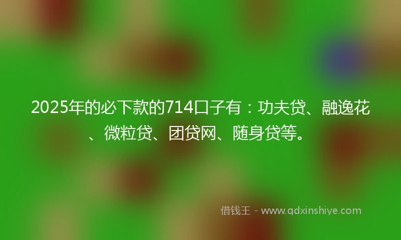 2025年的必下款的714口子有：功夫贷、融逸花、微粒贷、团贷网、随身贷等。
