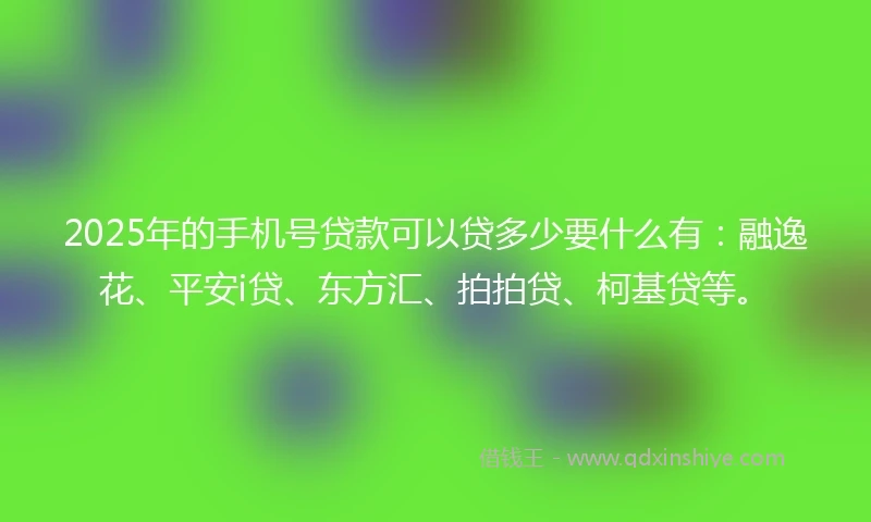 2025年的手机号贷款可以贷多少要什么有：融逸花、平安i贷、东方汇、拍拍贷、柯基贷等。