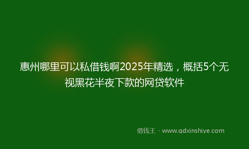 惠州哪里可以私借钱啊2025年精选，概括5个无视黑花半夜下款的网贷软件
