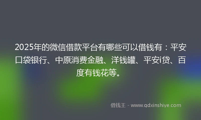 2025年的微信借款平台有哪些可以借钱有：平安口袋银行、中原消费金融、洋钱罐、平安i贷、百度有钱花等。