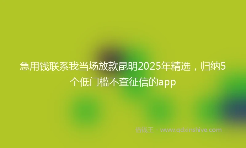 急用钱联系我当场放款昆明2025年精选，归纳5个低门槛不查征信的app