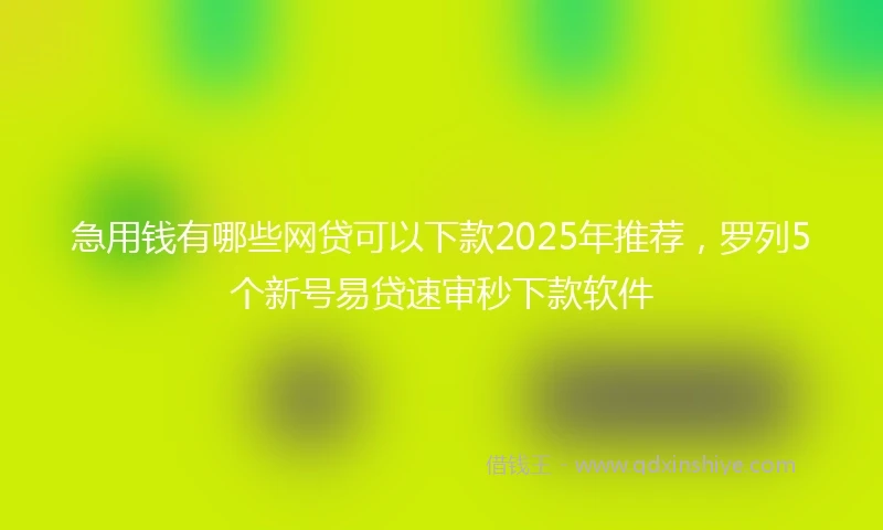 急用钱有哪些网贷可以下款2025年推荐，罗列5个新号易贷速审秒下款软件