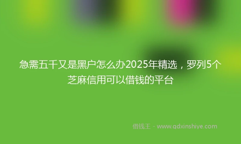 急需五千又是黑户怎么办2025年精选，罗列5个芝麻信用可以借钱的平台