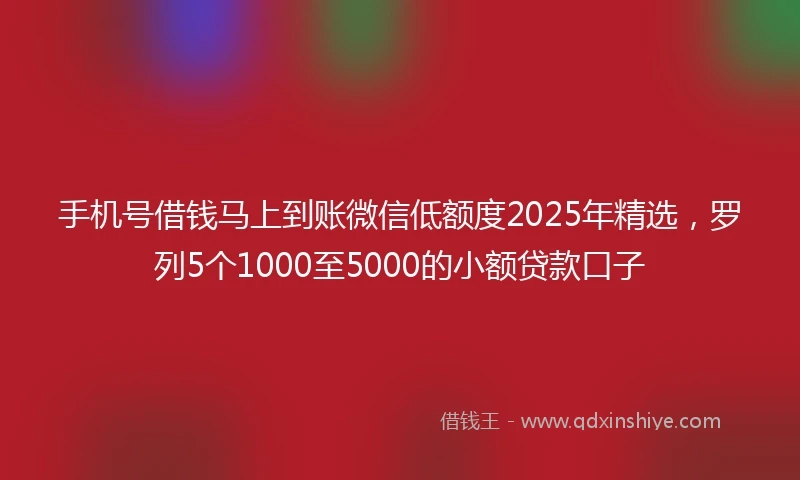 手机号借钱马上到账微信低额度2025年精选，罗列5个1000至5000的小额贷款口子