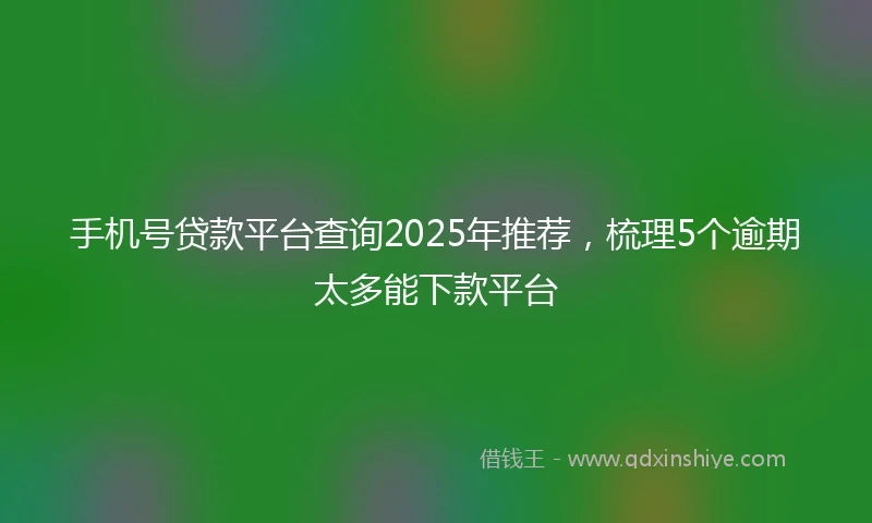 手机号贷款平台查询2025年推荐，梳理5个逾期太多能下款平台