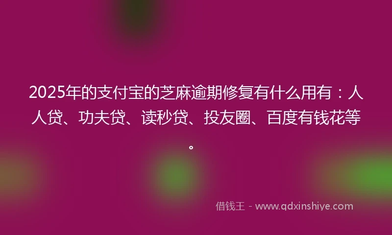 2025年的支付宝的芝麻逾期修复有什么用有：人人贷、功夫贷、读秒贷、投友圈、百度有钱花等。