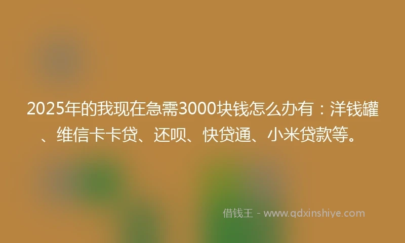 2025年的我现在急需3000块钱怎么办有：洋钱罐、维信卡卡贷、还呗、快贷通、小米贷款等。