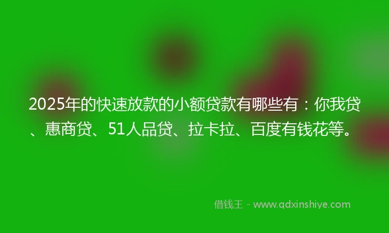 2025年的快速放款的小额贷款有哪些有：你我贷、惠商贷、51人品贷、拉卡拉、百度有钱花等。