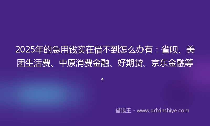 2025年的急用钱实在借不到怎么办有：省呗、美团生活费、中原消费金融、好期贷、京东金融等。