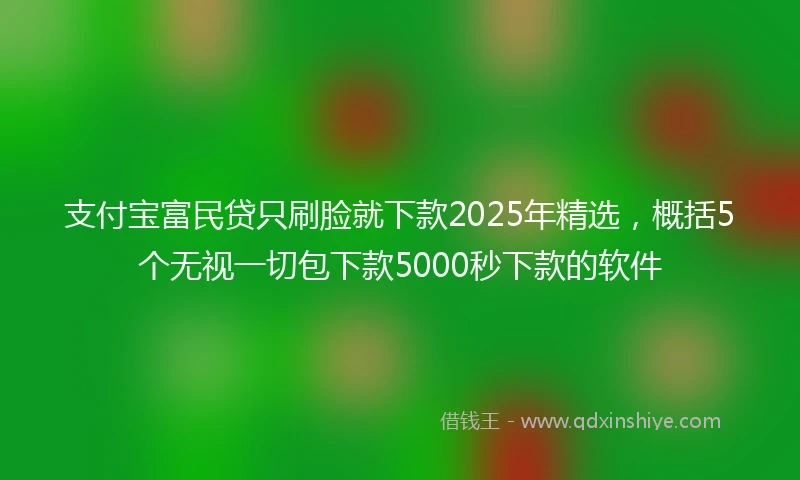 支付宝富民贷只刷脸就下款2025年精选，概括5个无视一切包下款5000秒下款的软件