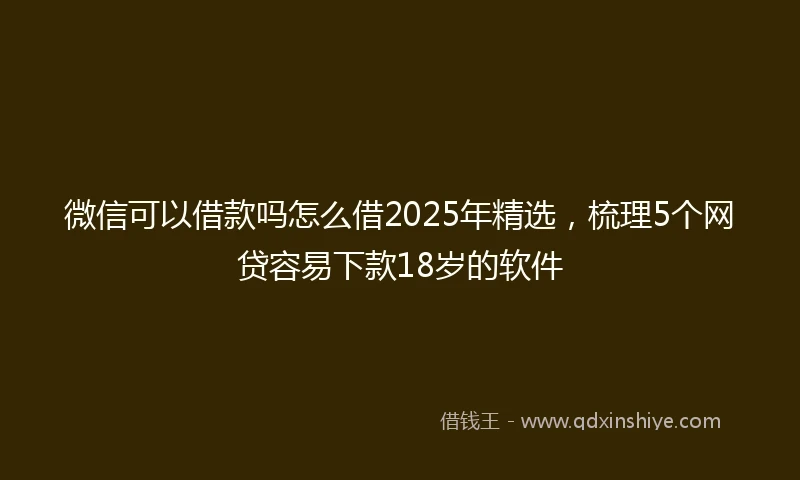 微信可以借款吗怎么借2025年精选，梳理5个网贷容易下款18岁的软件