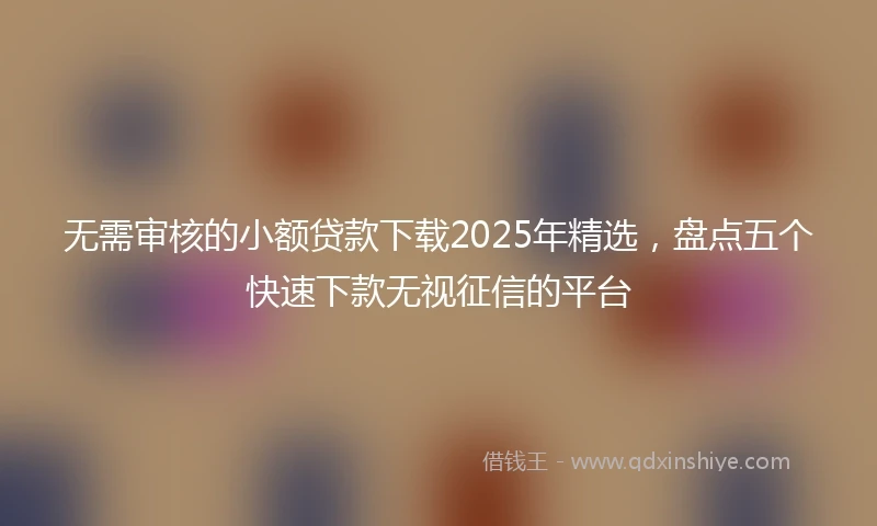 无需审核的小额贷款下载2025年精选，盘点五个快速下款无视征信的平台