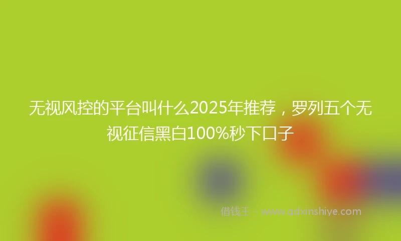 无视风控的平台叫什么2025年推荐，罗列五个无视征信黑白100%秒下口子