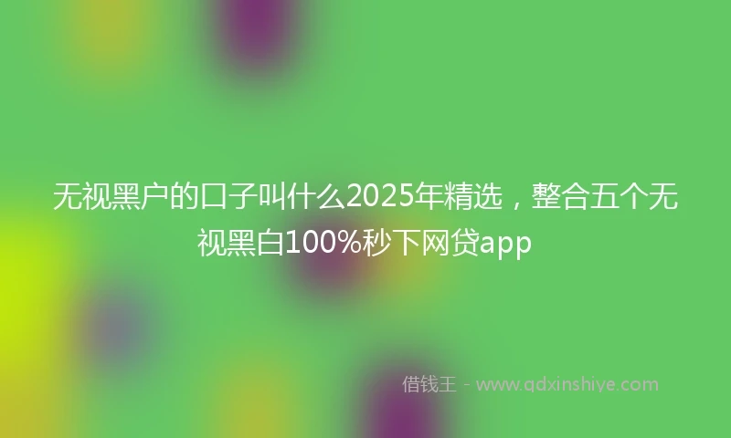无视黑户的口子叫什么2025年精选，整合五个无视黑白100%秒下网贷app
