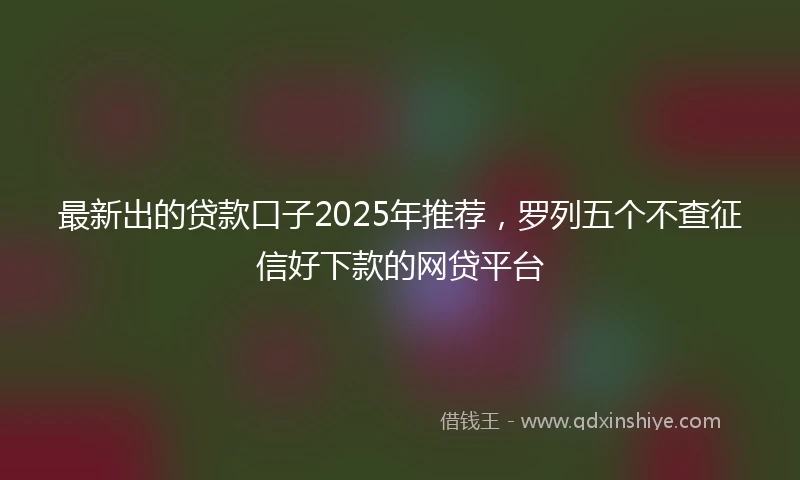 最新出的贷款口子2025年推荐，罗列五个不查征信好下款的网贷平台