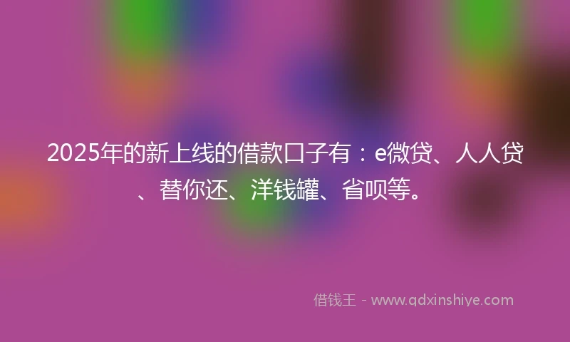 2025年的新上线的借款口子有：e微贷、人人贷、替你还、洋钱罐、省呗等。