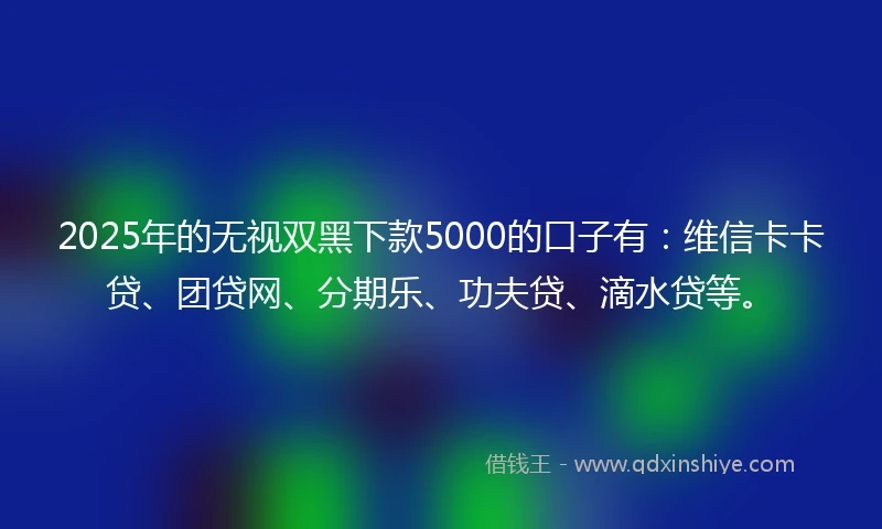 2025年的无视双黑下款5000的口子有：维信卡卡贷、团贷网、分期乐、功夫贷、滴水贷等。