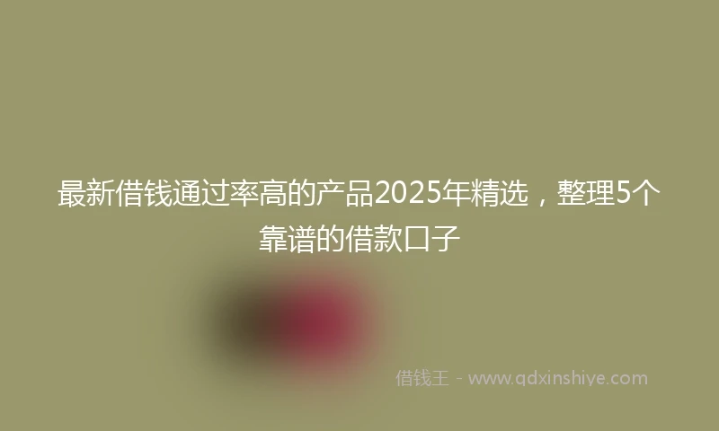 最新借钱通过率高的产品2025年精选,整理5个靠谱的借款口子