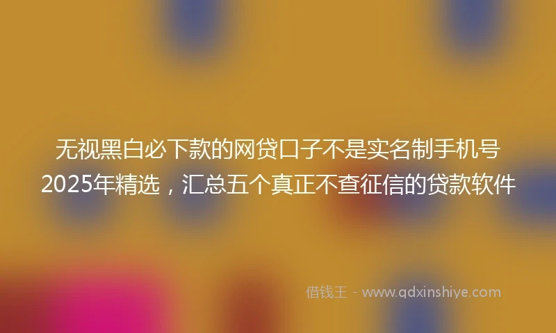 无视黑白必下款的网贷口子不是实名制手机号2025年精选，汇总五个真正不查征信的贷款软件