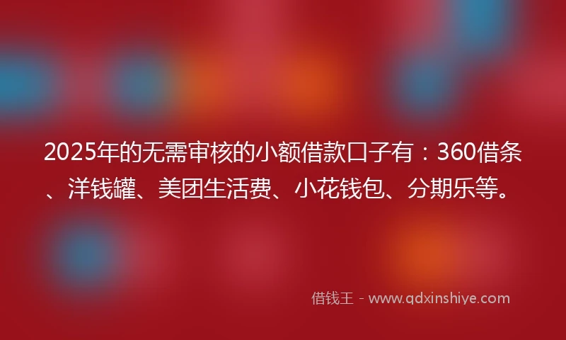 2025年的无需审核的小额借款口子有：360借条、洋钱罐、美团生活费、小花钱包、分期乐等。