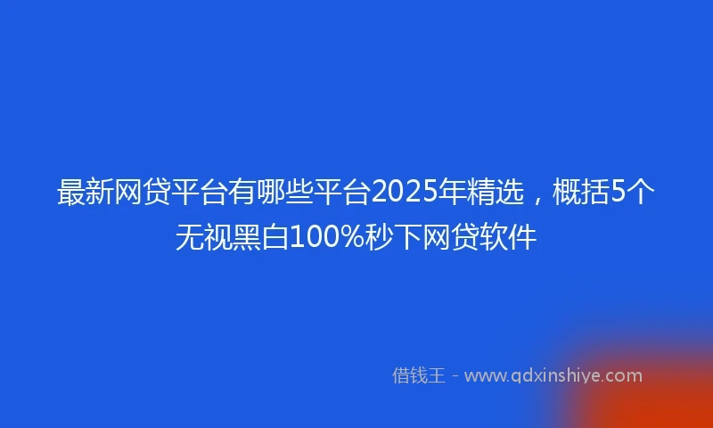 最新网贷平台有哪些平台2025年精选，概括5个无视黑白100%秒下网贷软件