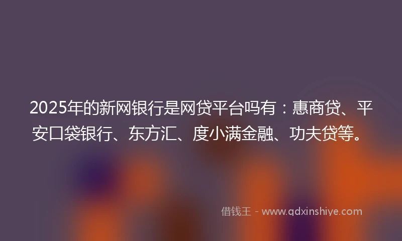 2025年的新网银行是网贷平台吗有：惠商贷、平安口袋银行、东方汇、度小满金融、功夫贷等。
