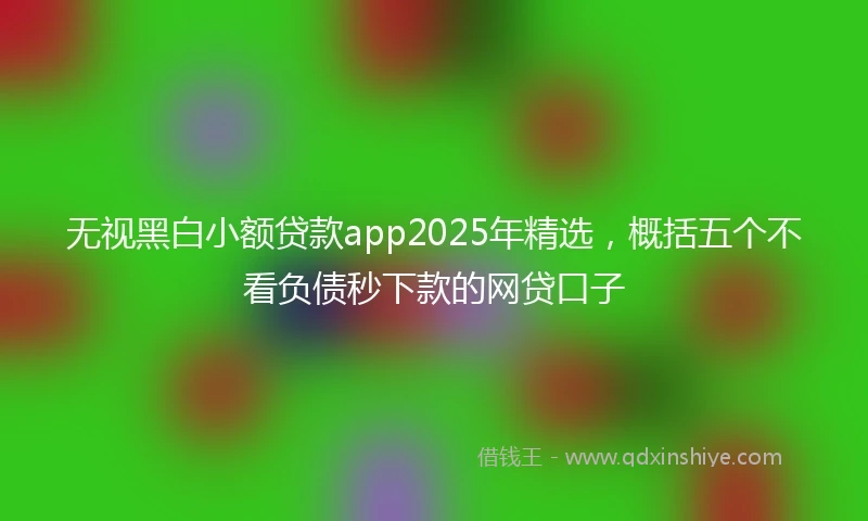 无视黑白小额贷款app2025年精选，概括五个不看负债秒下款的网贷口子