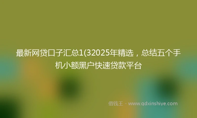最新网贷口子汇总1(32025年精选，总结五个手机小额黑户快速贷款平台