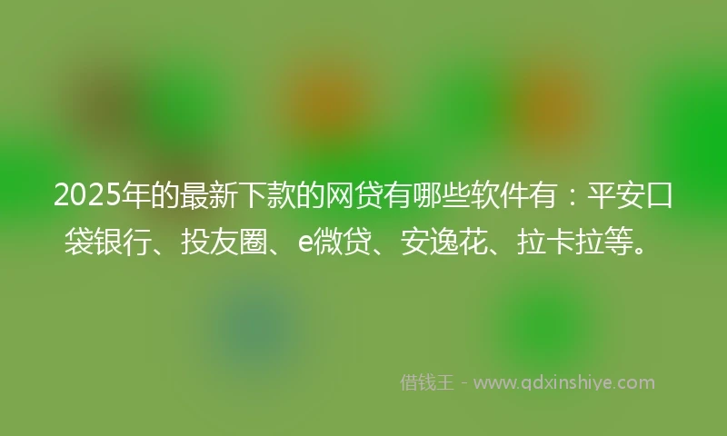 2025年的最新下款的网贷有哪些软件有：平安口袋银行、投友圈、e微贷、安逸花、拉卡拉等。