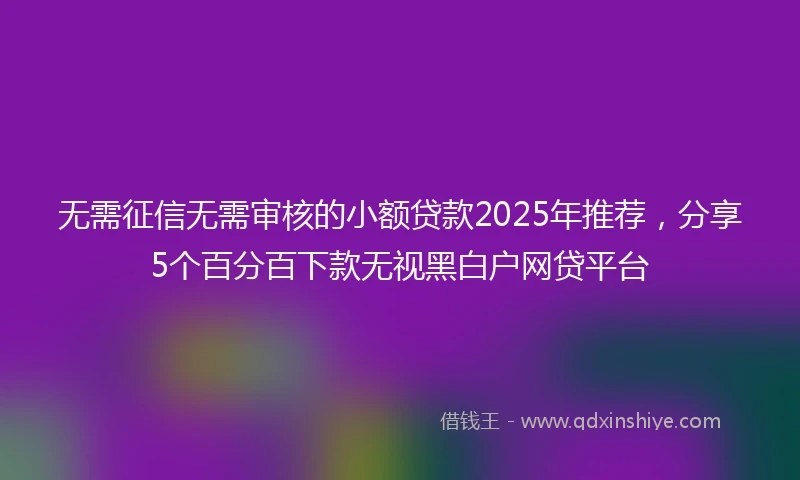 无需征信无需审核的小额贷款2025年推荐，分享5个百分百下款无视黑白户网贷平台