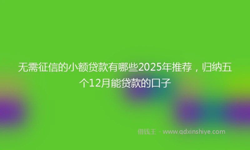 无需征信的小额贷款有哪些2025年推荐，归纳五个12月能贷款的口子