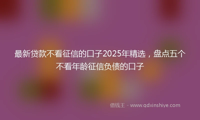 最新贷款不看征信的口子2025年精选，盘点五个不看年龄征信负债的口子